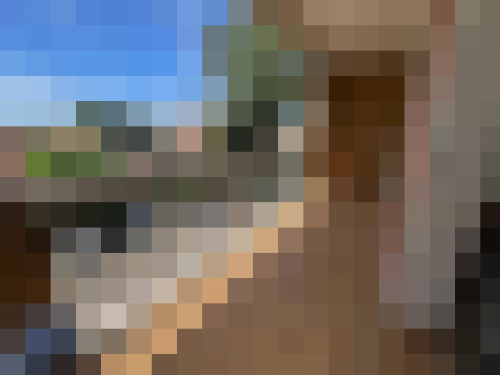  / #7