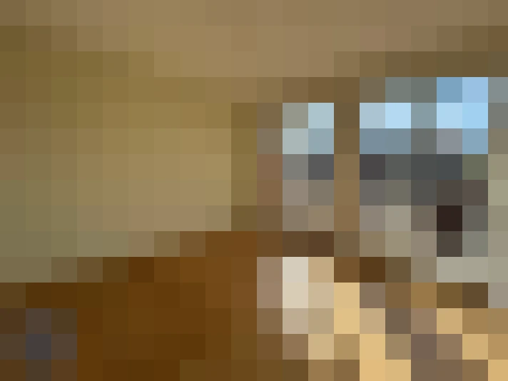  / #9