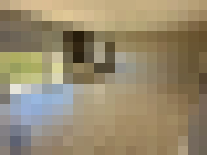  / #7