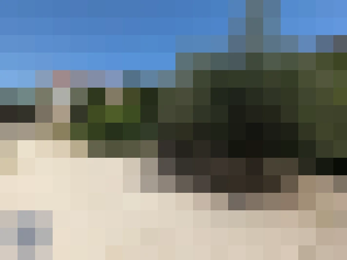 / #6