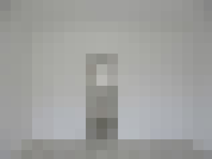  / #8