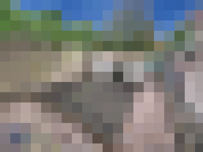  / #18