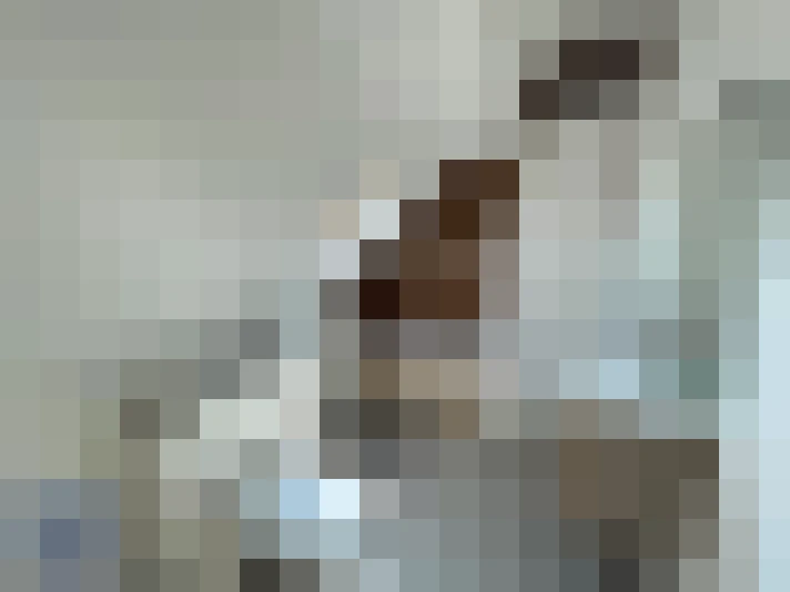  / #8