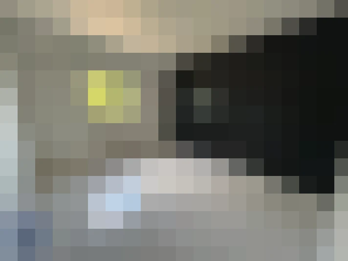  / #15