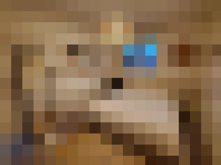  / #7