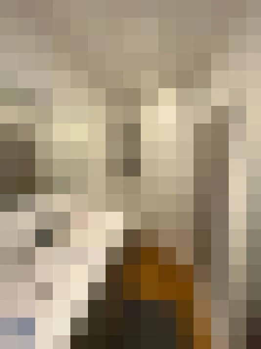  / #19
