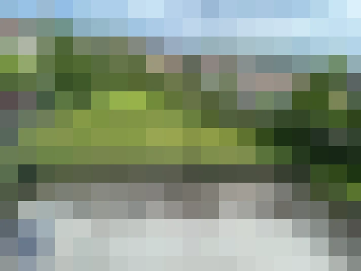  / #7