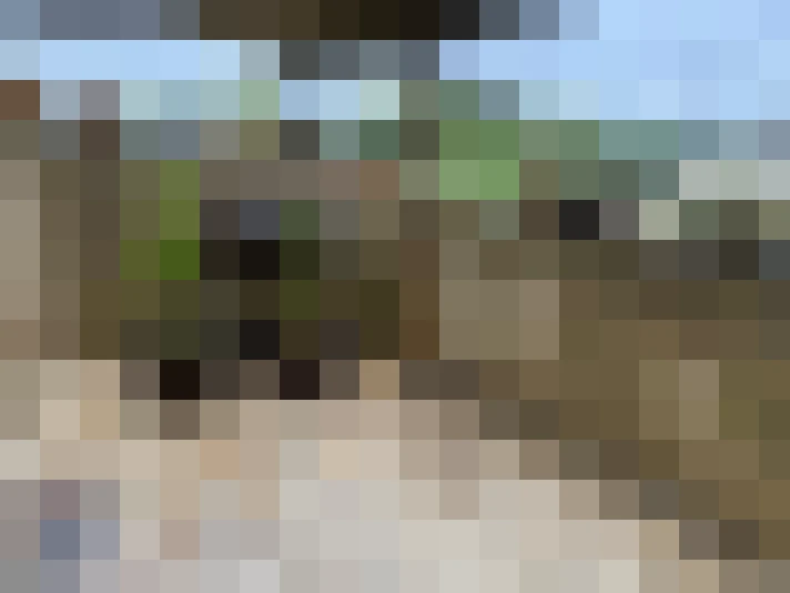  / #7