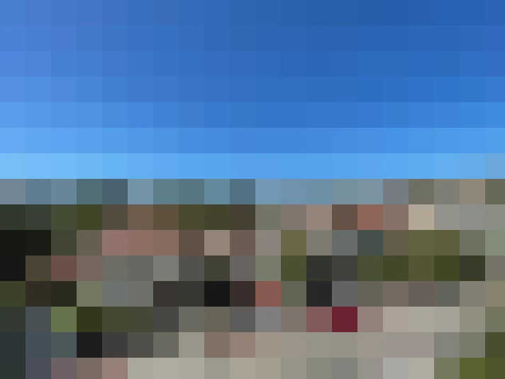  / #7
