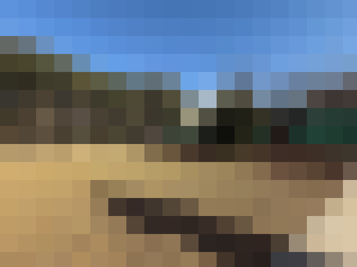  / #13
