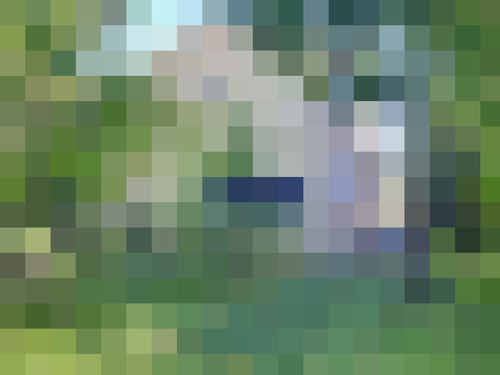  / #7