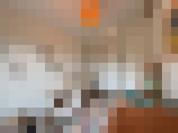  / #15
