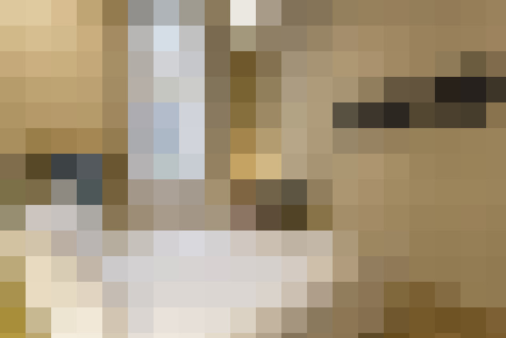  / #17