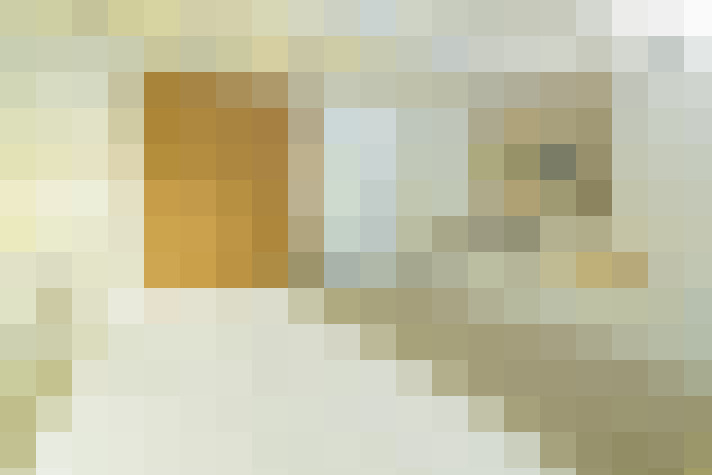  / #19