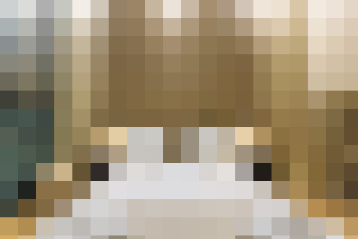  / #21