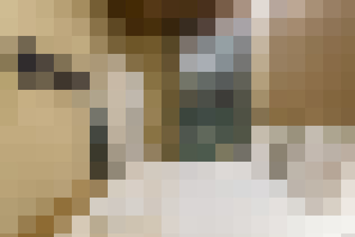  / #22