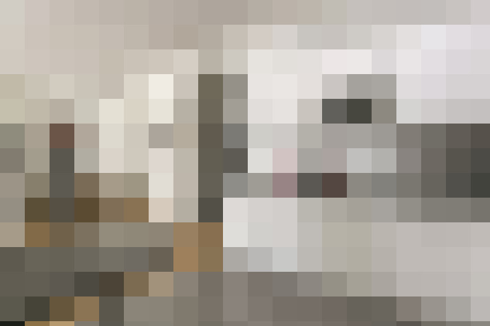  / #12