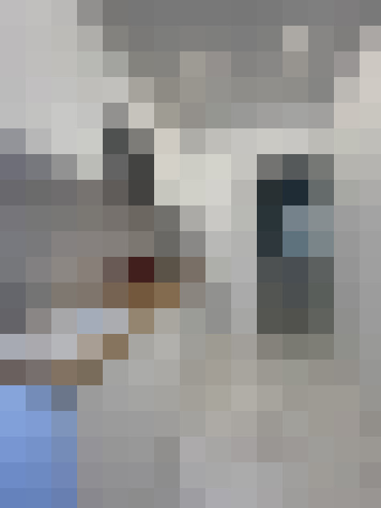  / #13