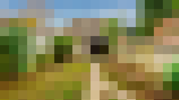  / #17