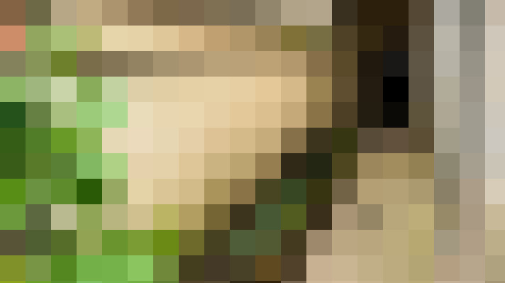  / #16