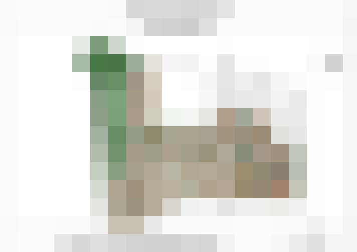  / #19