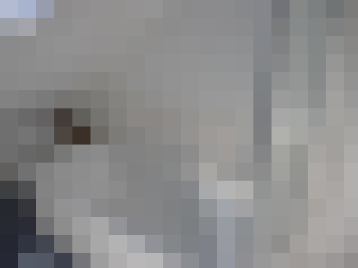  / #14