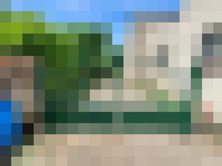  / #15