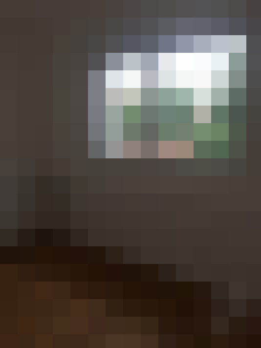  / #11