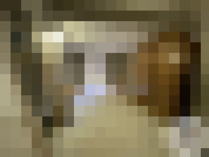 / #12