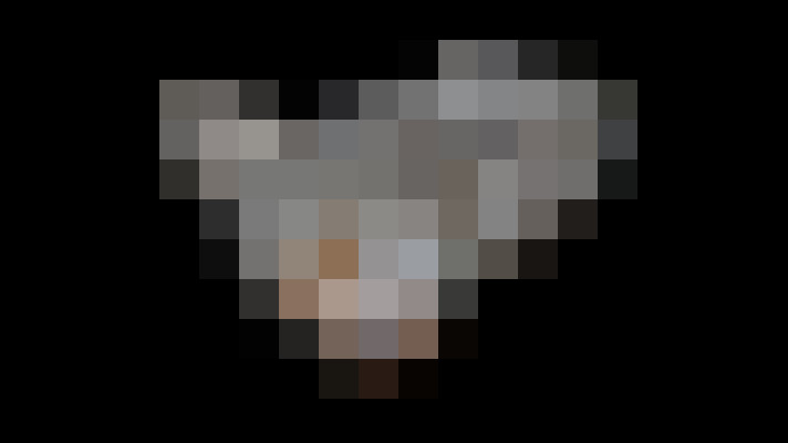  / #11