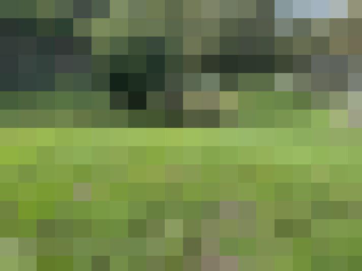  / #8
