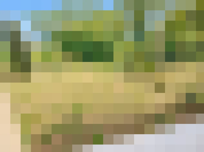  / #2