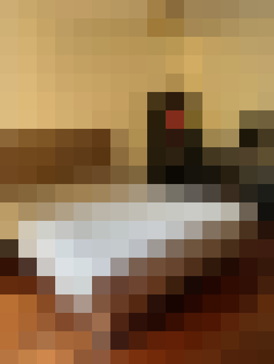  / #8