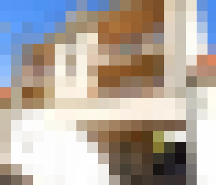  / #6