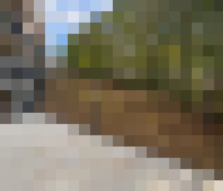  / #12