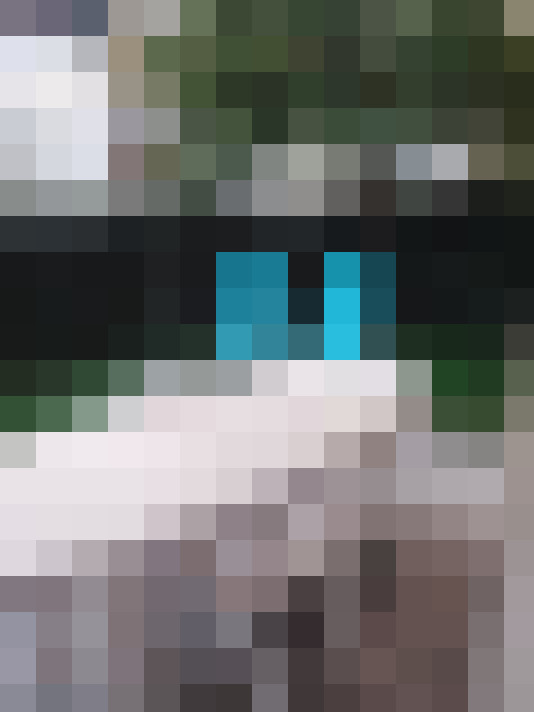 / #11