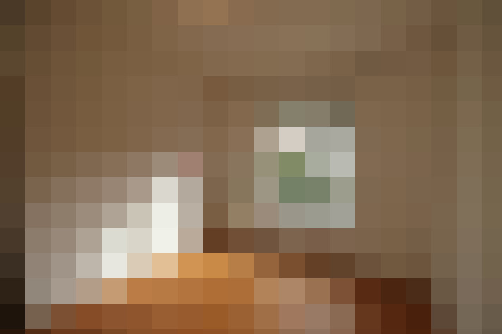  / #12