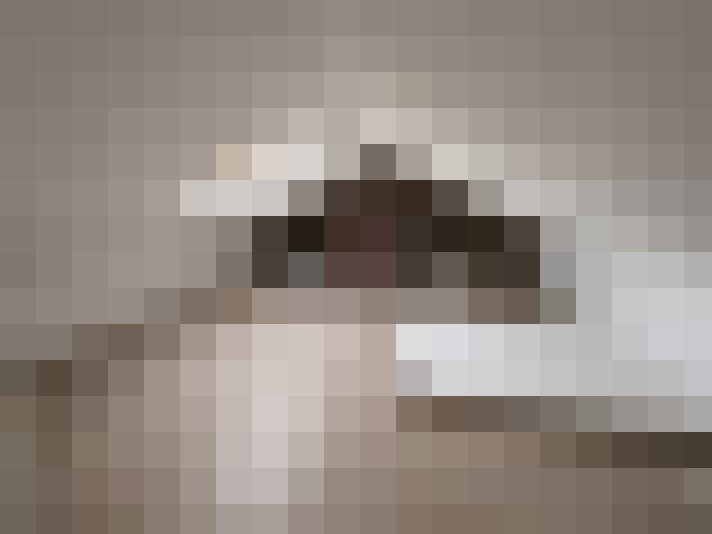  / #11
