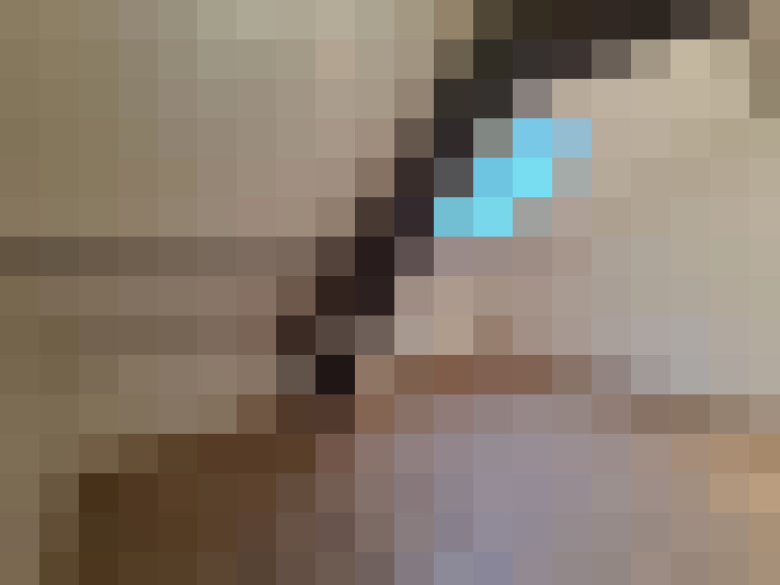  / #6