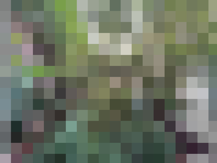  / #7