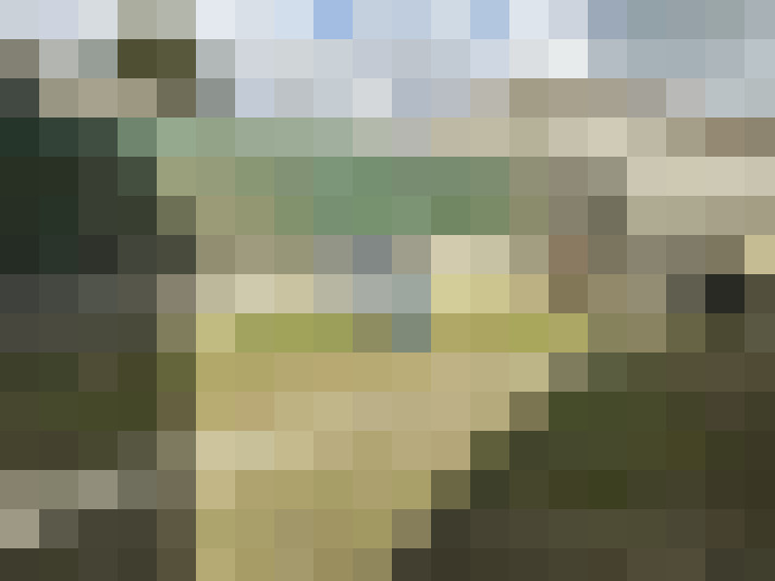  / #7