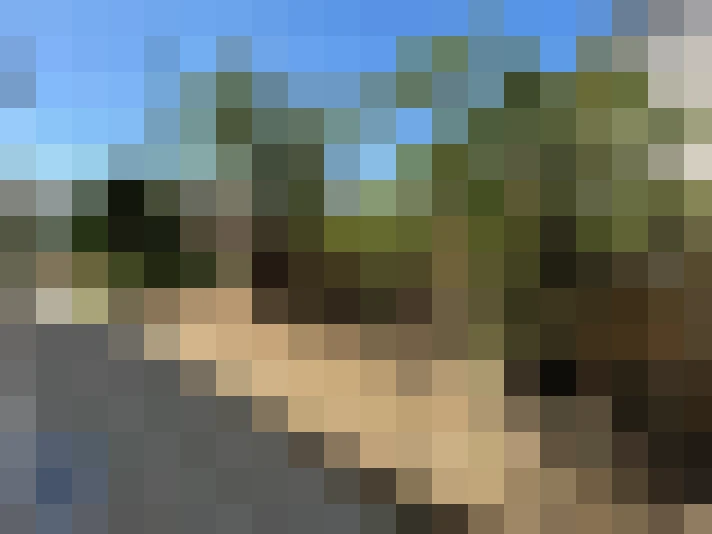  / #15