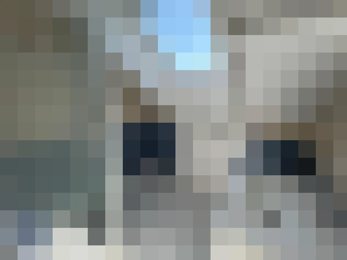  / #12