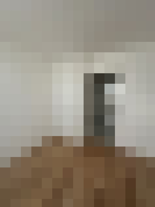  / #6