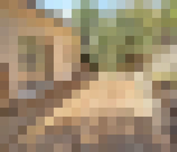  / #15