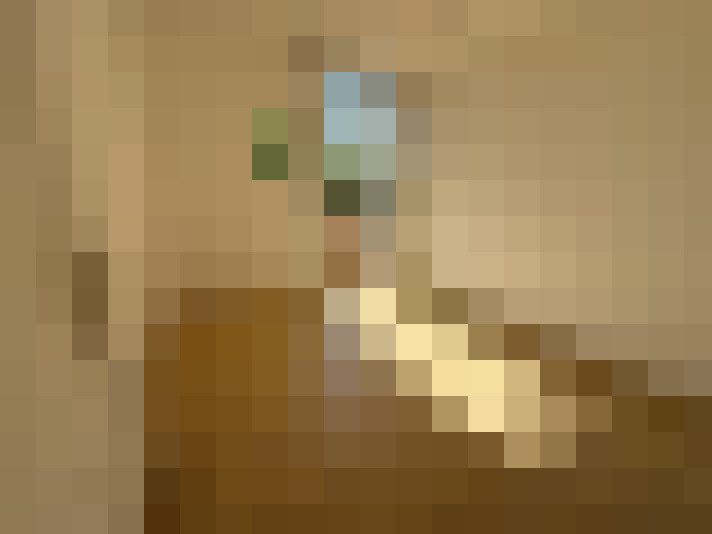  / #6