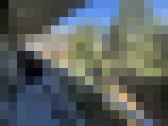  / #7