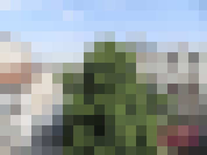  / #3