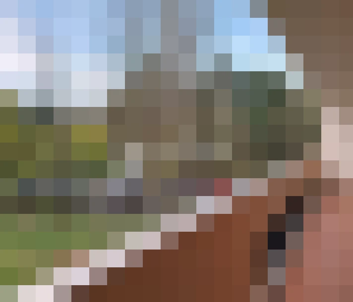  / #7