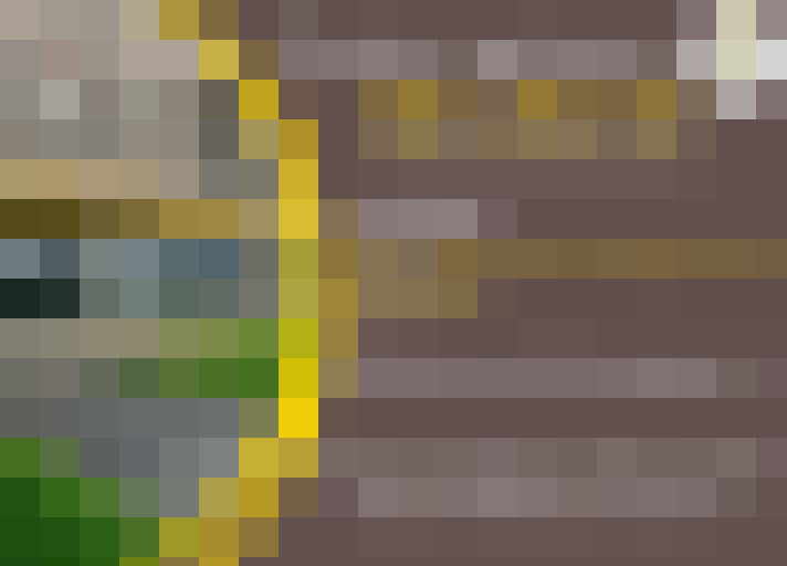  / #14